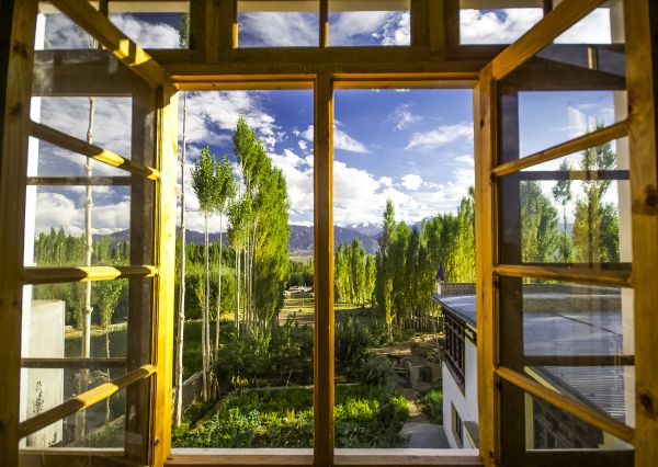 Cost of Wood Window Replacement in De Pere